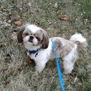 Meet your Posher, Danni